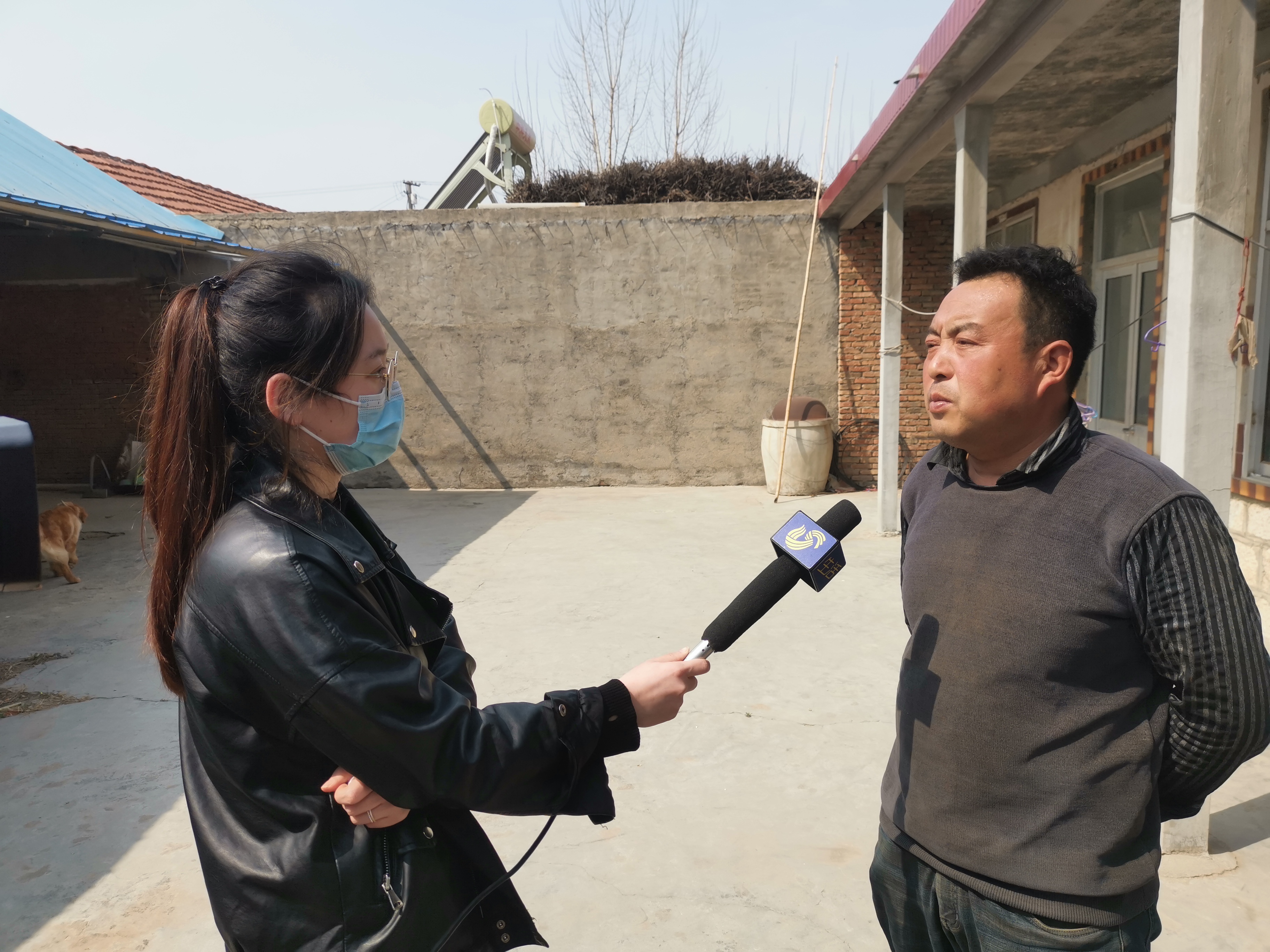 第209所 平度市崔家集镇状元府玩球体育刘丽新小学 第209所 平度市崔家集镇状元府玩球体育刘丽新小学