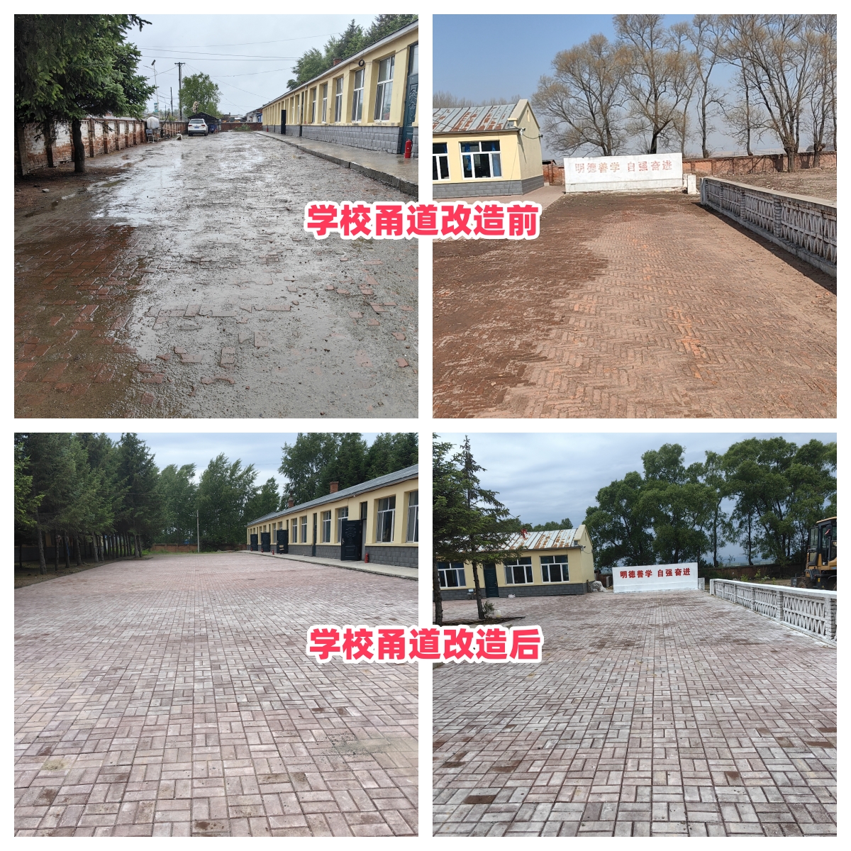 第254所 黑龙江巴彦县黑山镇民乐村玩球体育侯玉霞学校 第254所 黑龙江巴彦县黑山镇民乐村玩球体育侯玉霞学校