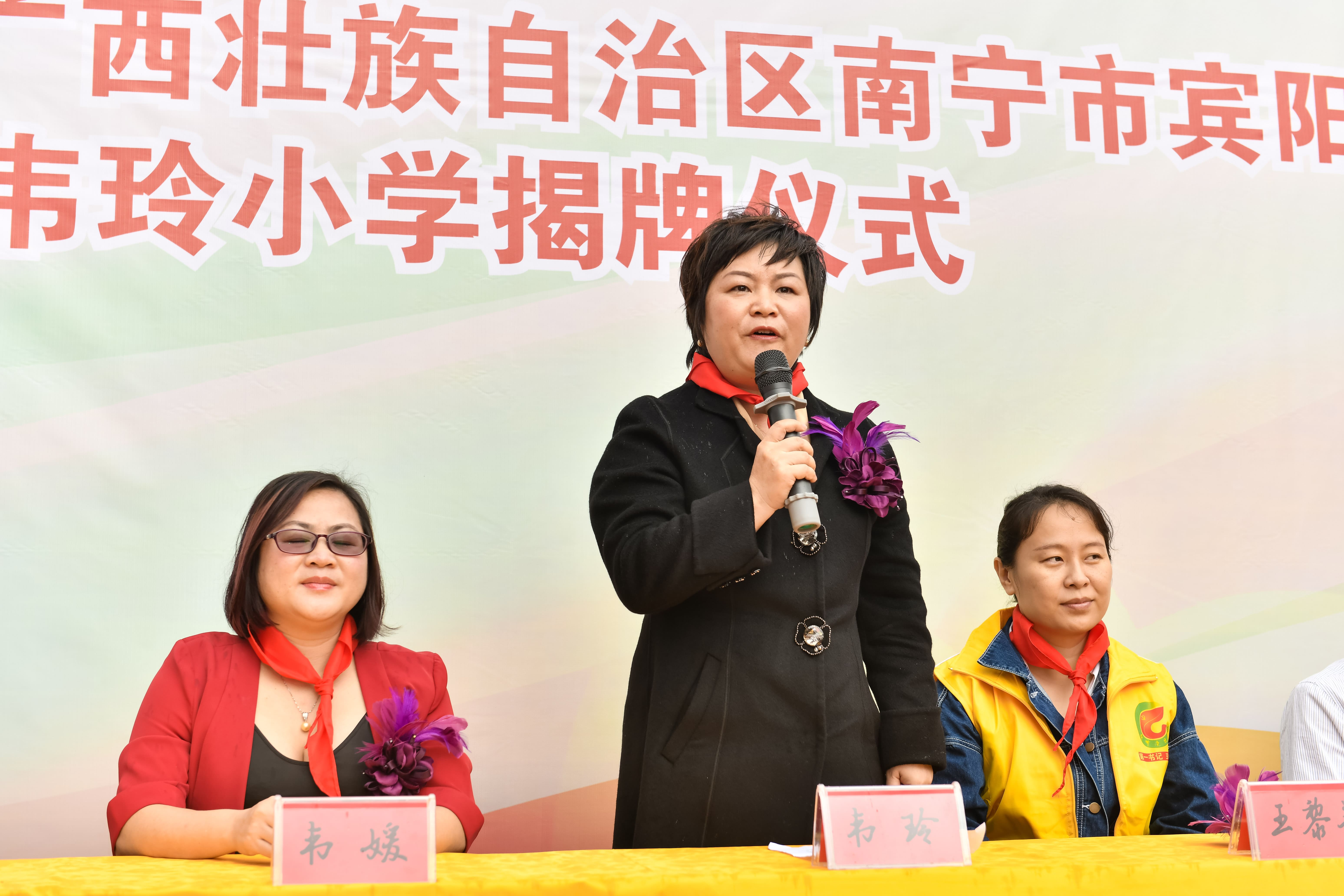 第184所 南宁市宾阳县思陇镇昆仑村玩球体育韦玲小学 第184所 南宁市宾阳县思陇镇昆仑村玩球体育韦玲小学