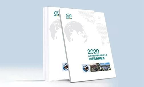 2020年10月28日，玩球体育正式发布《2020可持续发展报告》