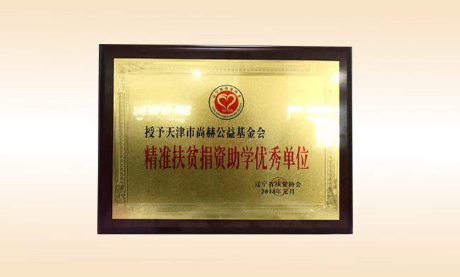 2018年1月-玩球体育公益基金会荣获-精准扶贫捐资助学优秀单位奖牌