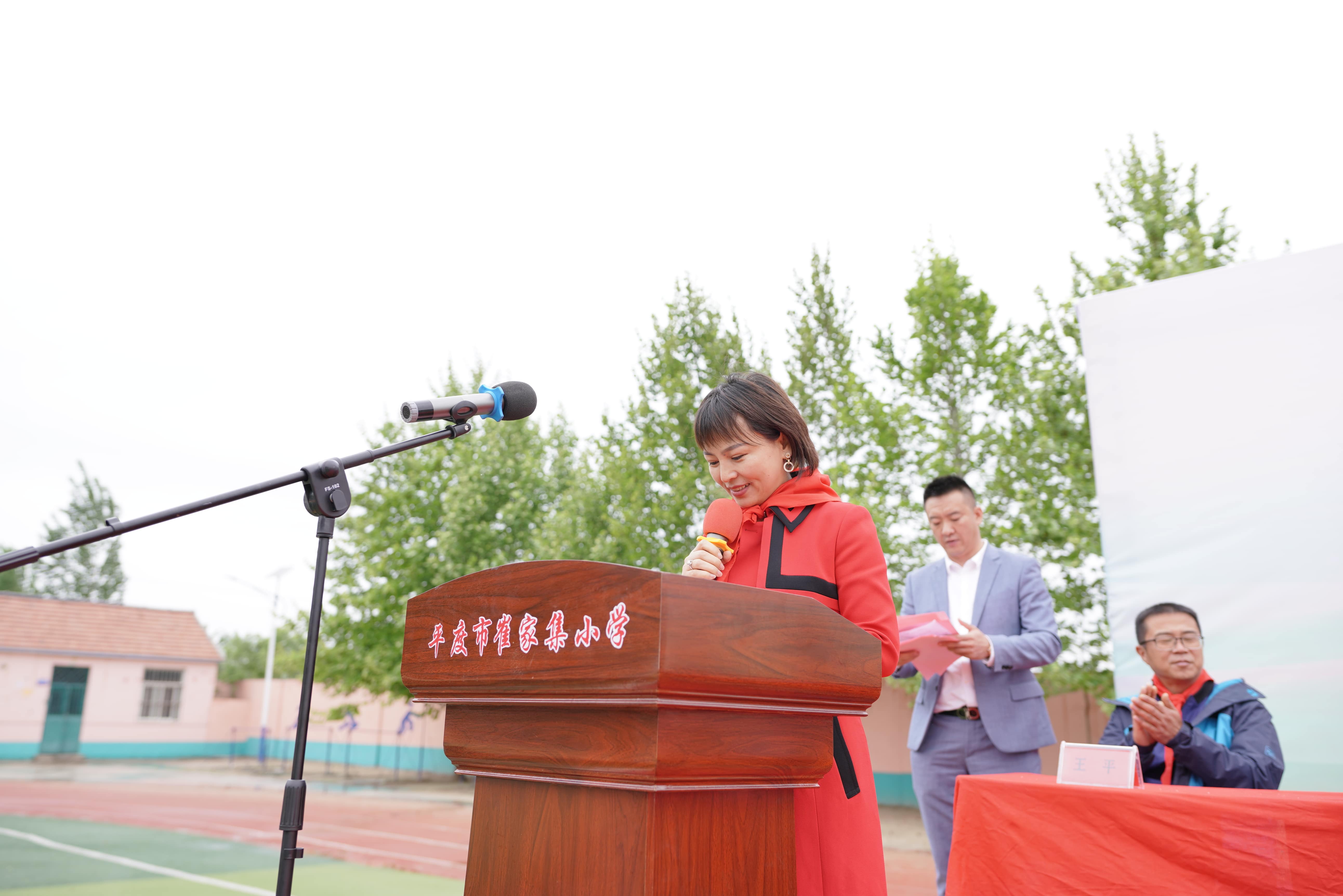 第213所 平度市崔家集镇崔家集玩球体育周玉洁小学