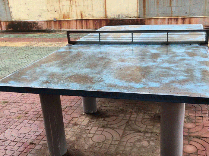 第242所 山东省新泰市果都镇玩球体育王茹小学 第242所 山东省新泰市果都镇玩球体育王茹小学